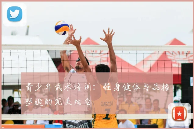 青少年武术培训:强身健体与品格塑造的完美结合