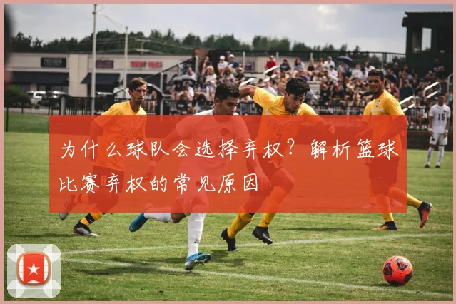 为什么球队会选择弃权？解析篮球比赛弃权的常见原因